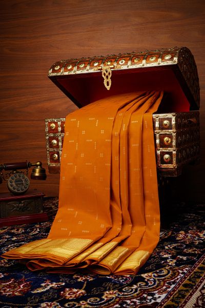 Festive Glow Kancheepuram Saree